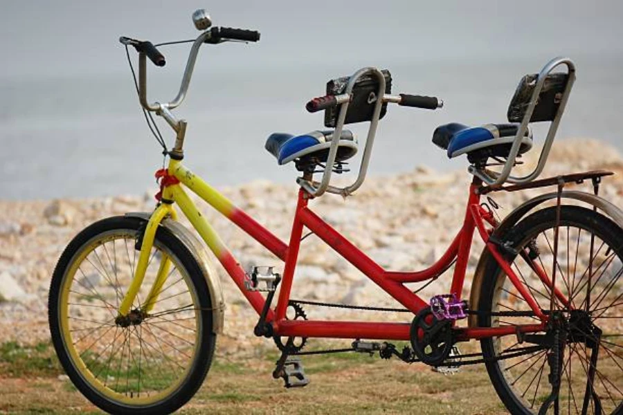 Recumbent tandem bike sitting without riders on grass