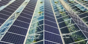 solar panel