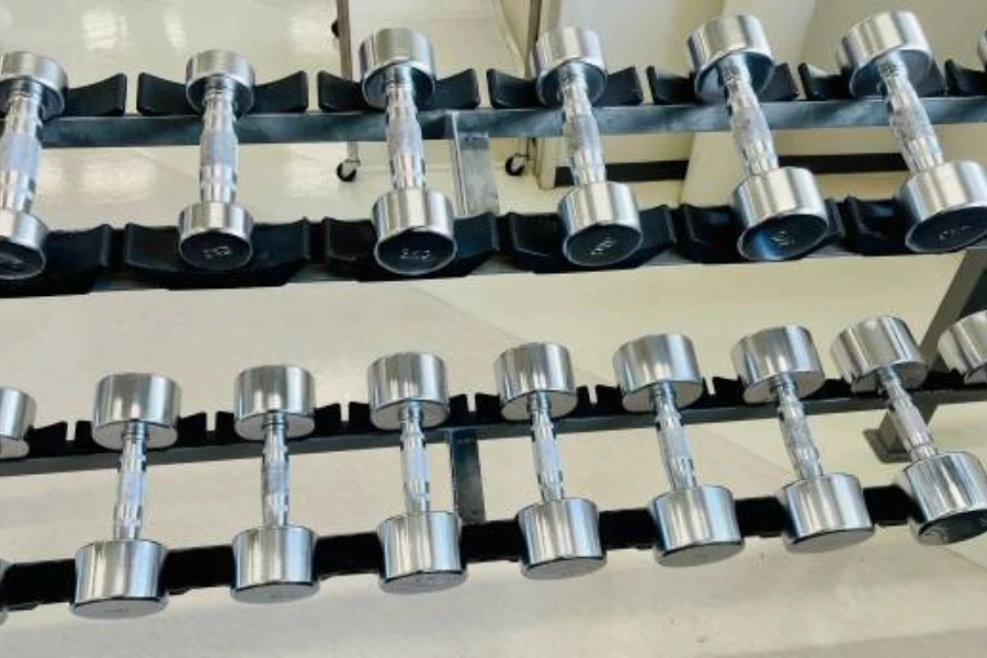 Two rows of cast iron dumbbells lined up on rack