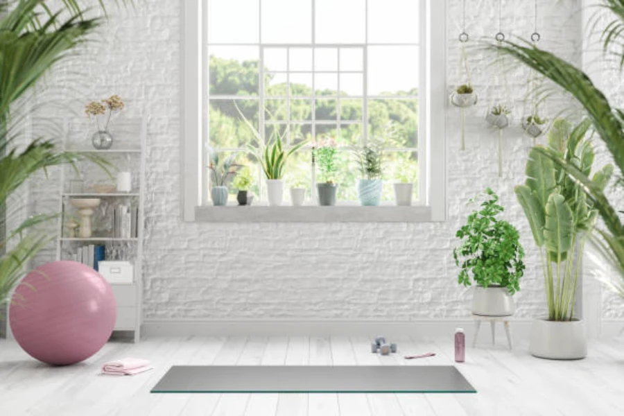 Yoga studio painted white with plants around the room