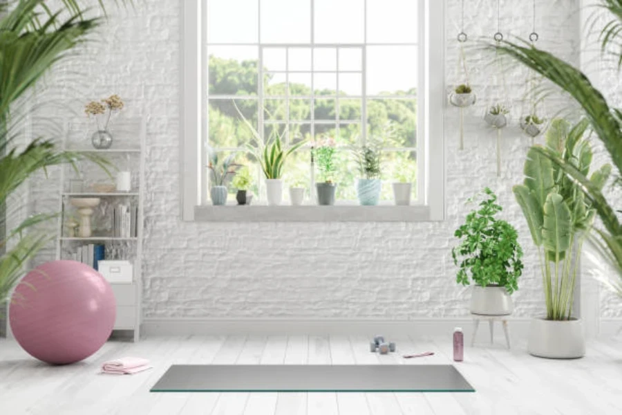 Studio de yoga peint en blanc avec des plantes autour de la pièce