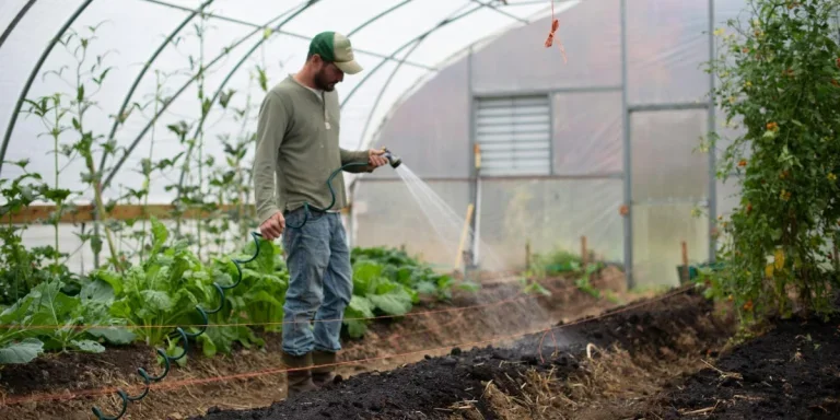 Мужчина поливает растения