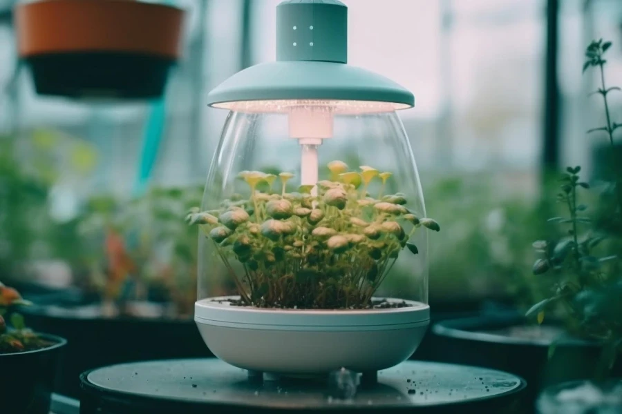 A self-watering planter with some plants