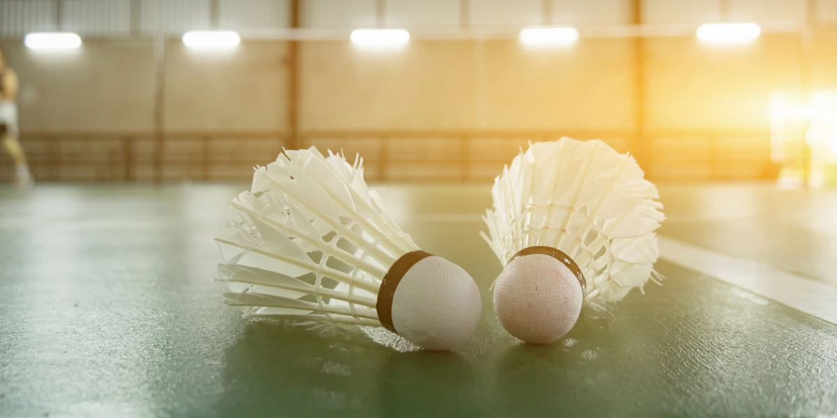 Le Plus Durable Plume d'oie Badminton volant - Chine Volant et Badminton  prix
