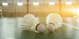 Badminton Shuttlecocks