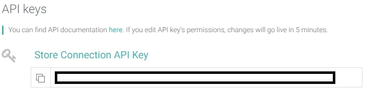 скопировать API-ключ