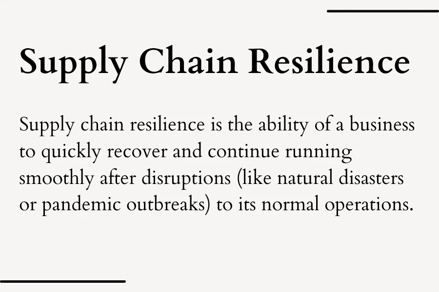 Definition of supply chain resilience in simple terms