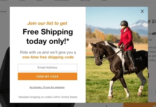 popup offering a free shipping code