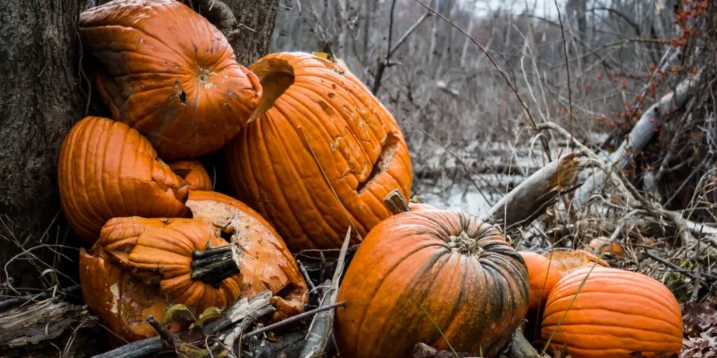 pumpkins have become symbols of waste