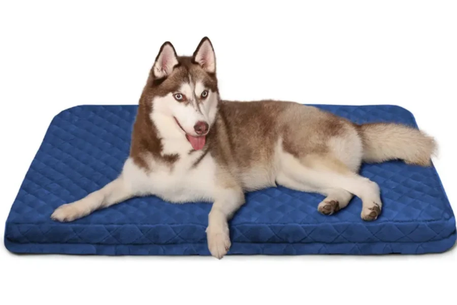 A dog lying on an orthopedic bed