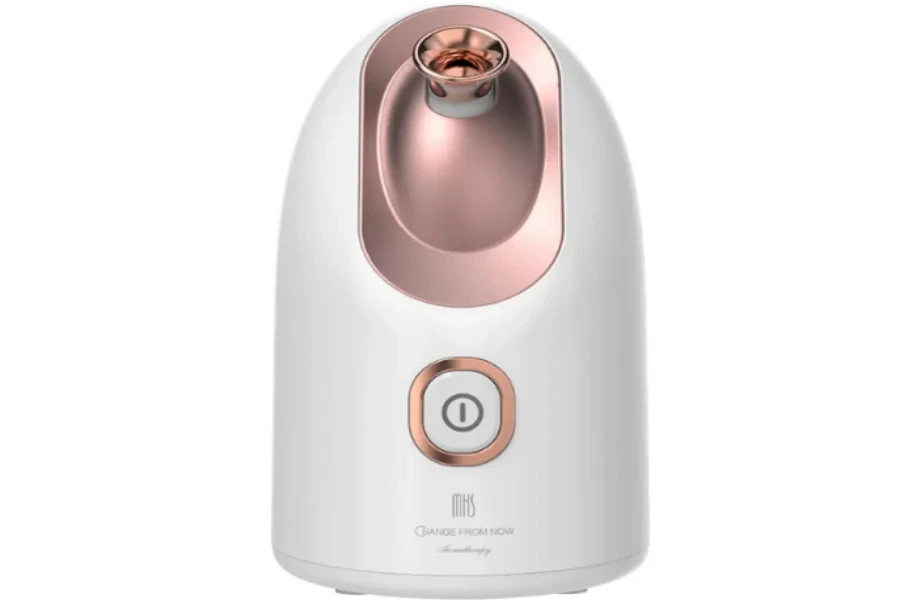 A nano facial steamer