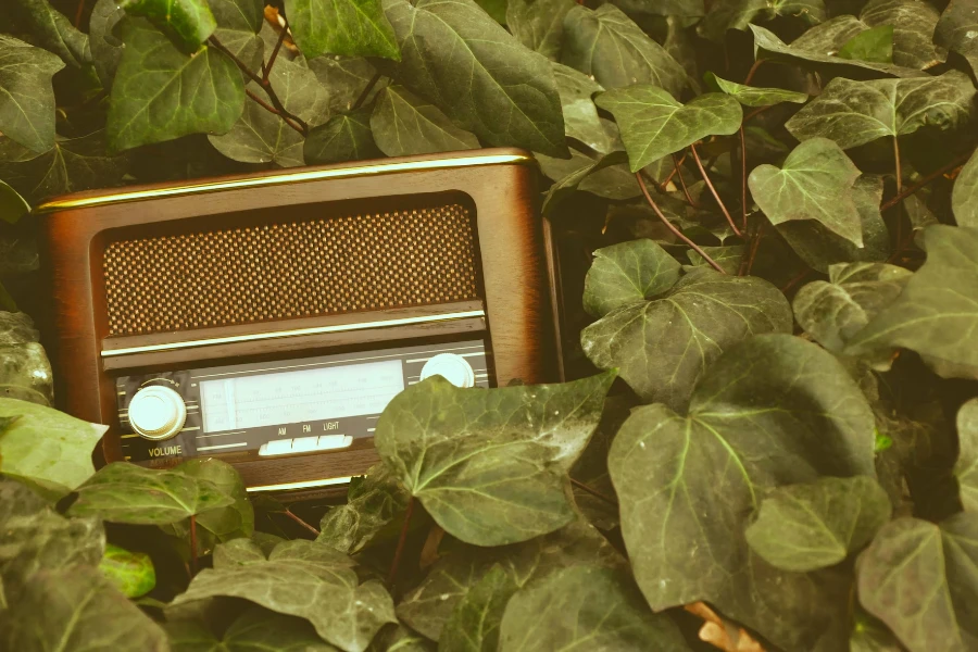 a photo of AMFM portable radio