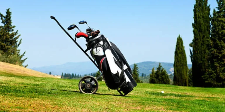 Black and white golf trolley sitting on the green