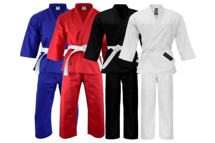 Diverse styles of martial arts attire