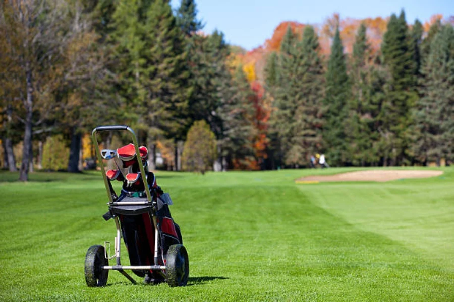 Troli golf dengan tongkat di dalamnya terletak di sebelah lapangan hijau