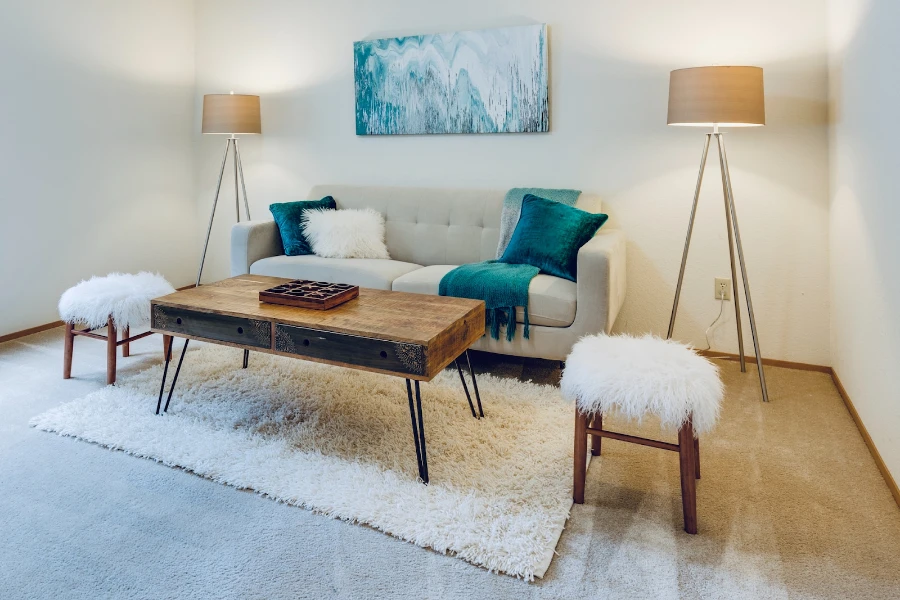 Living room with beige shag rug