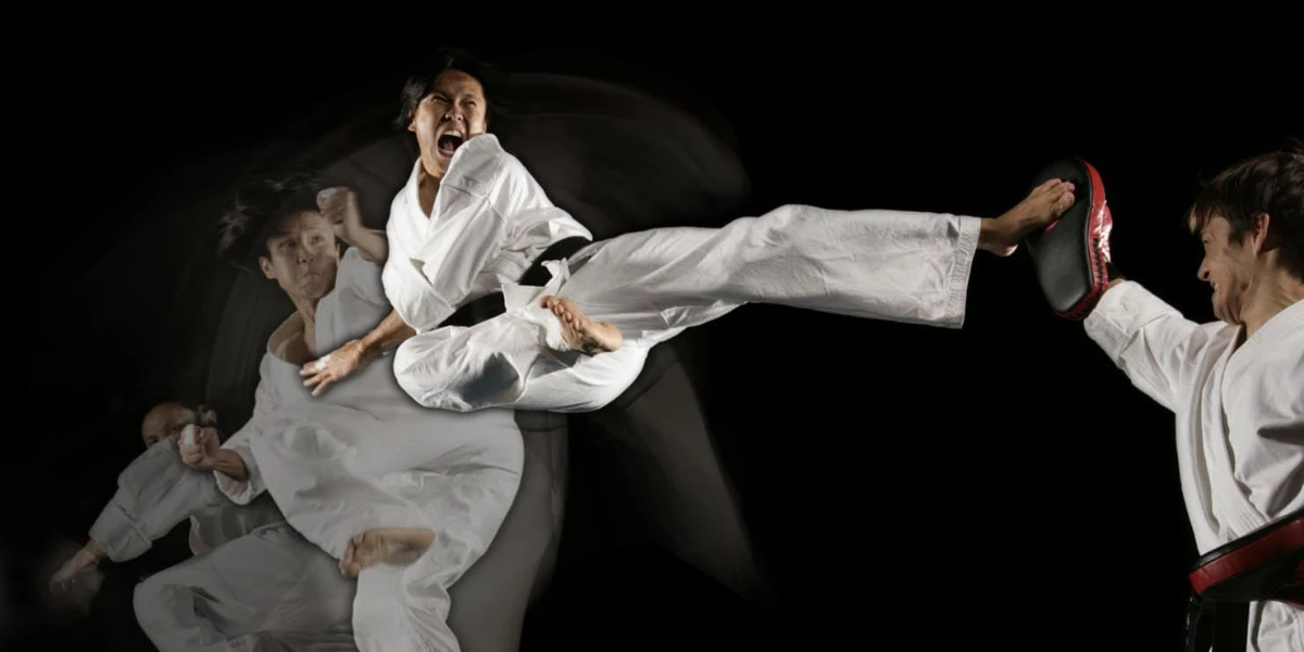 Catálogo de fabricantes de Karate Knee Pads de alta calidad y Karate Knee  Pads en Alibaba.com