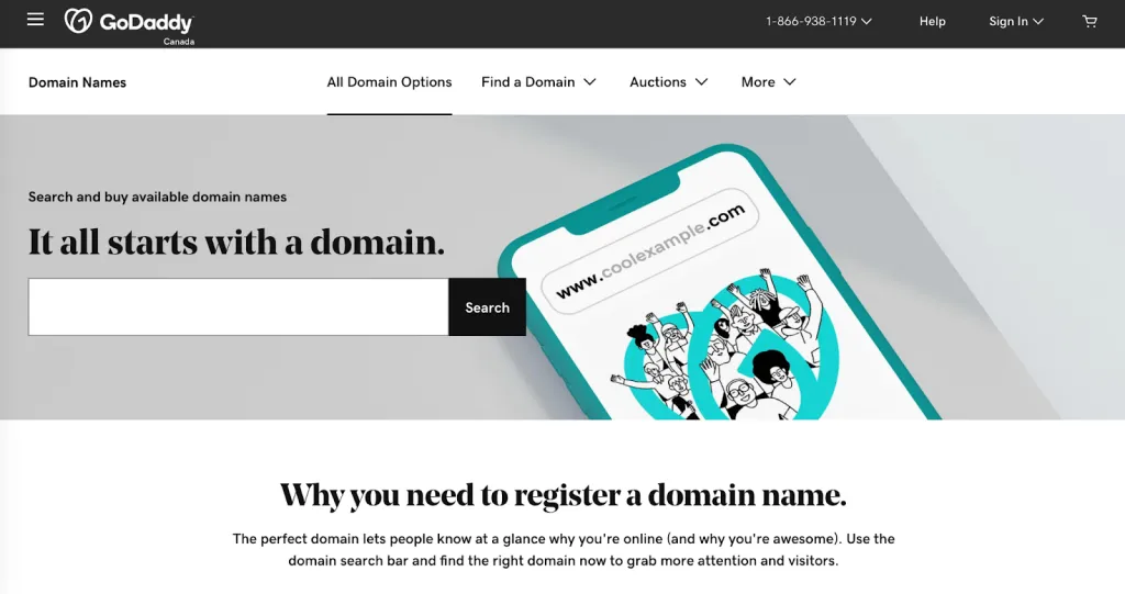 Screenshot from GoDaddy domain page