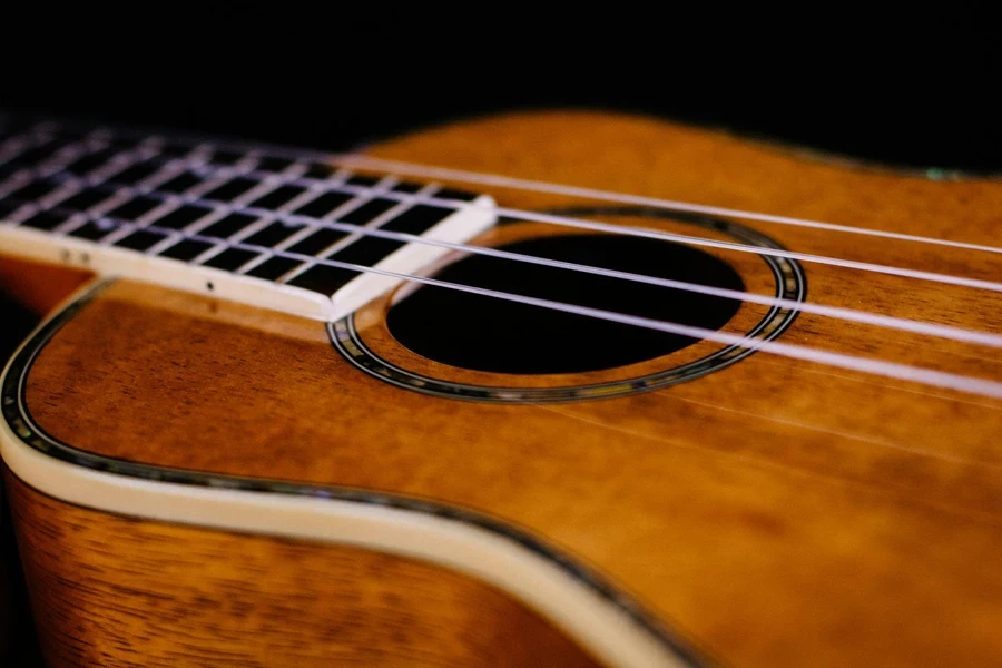Close up of solid body acoustic guitar for formal education