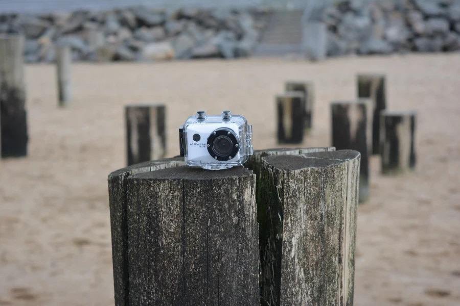 A camera placed on a tree trunk