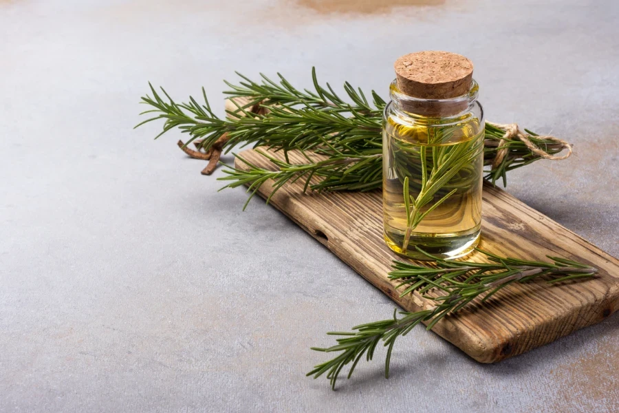 Una ramita de árbol de té fresco y aceite esencial sobre una tabla de madera