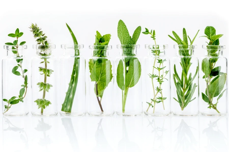 Botellas con albahaca, romero, orégano, salvia, albahaca y menta.