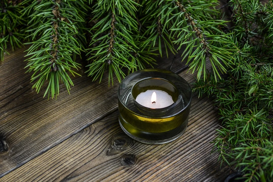 Burning candle near Christmas trees
