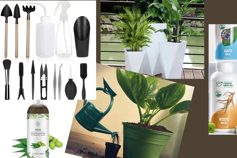 Diferentes productos imprescindibles para plantas vivas de interior.