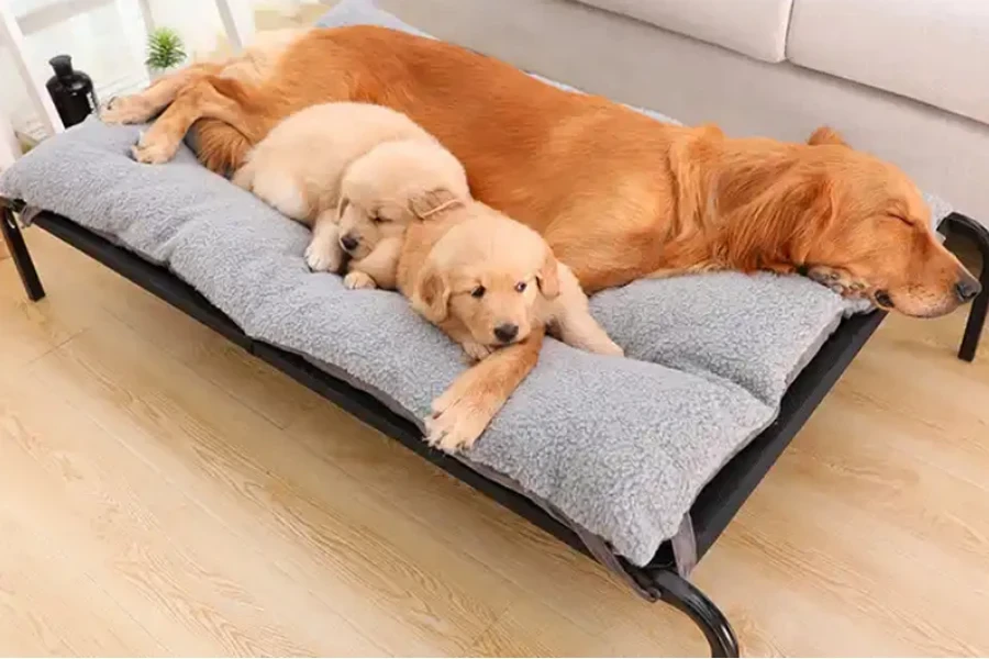 cama de perro