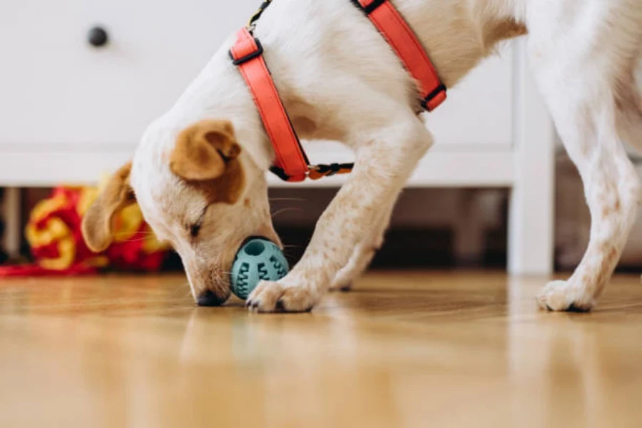 jouet à mâcher pour chien