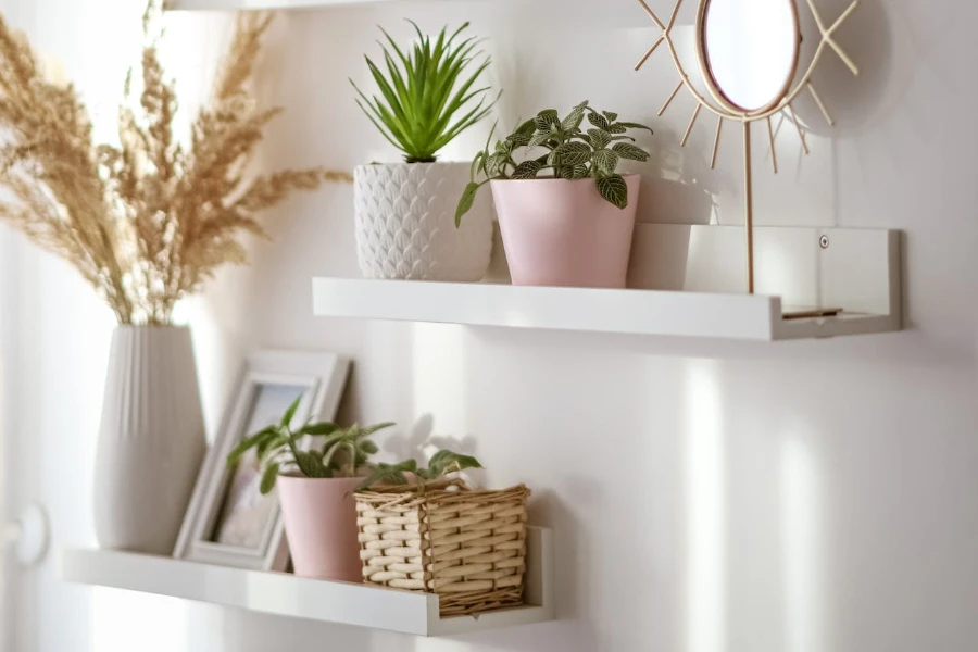 Flower pots and items displayed on a shelf