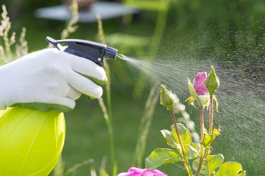 handheld sprayer