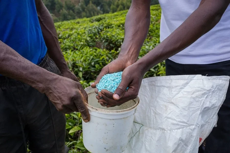 Hommes mettant de l'engrais dans un récipient en plastique