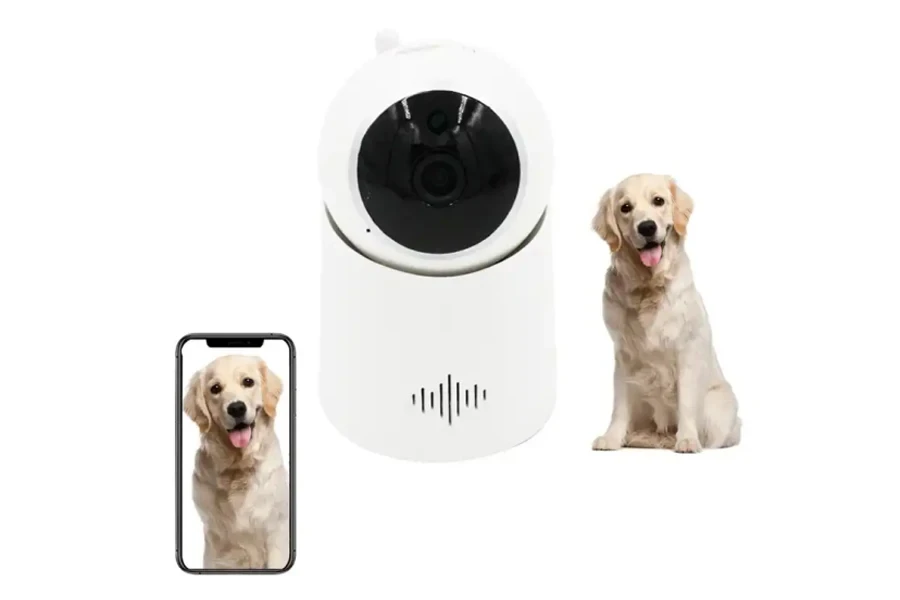 pet camera