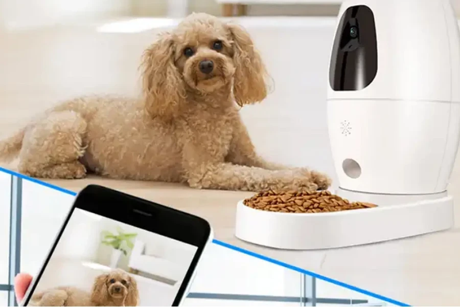 pet camera