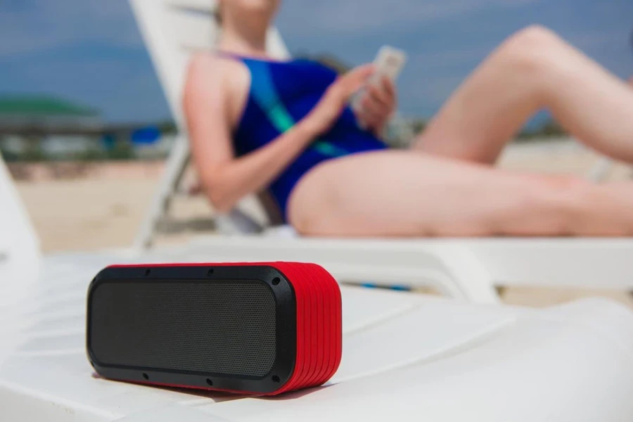 portable speaker