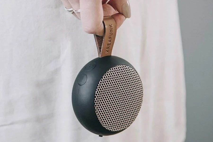 portable speaker