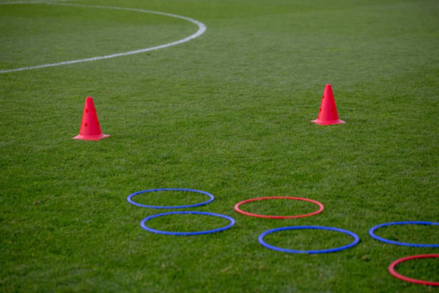 Red and blue agility rings next to red agility cones