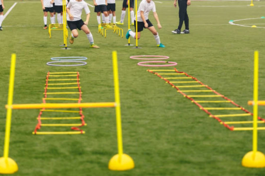 Various agility training equipment set up on grass