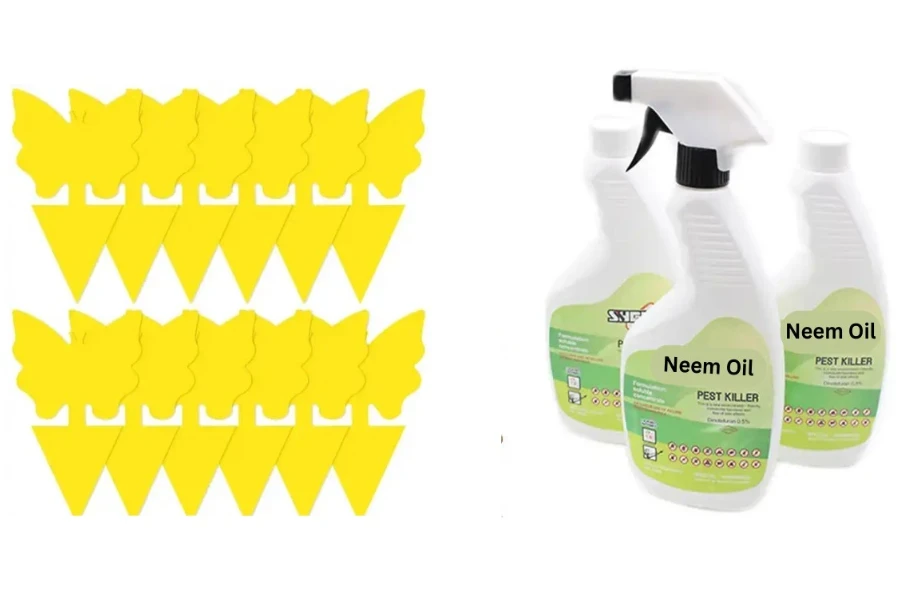 Yellow sticky traps and neem oil for pest control