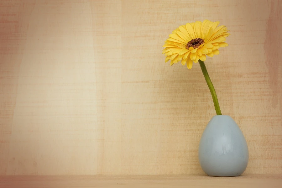 Yellow sunflower in a vase