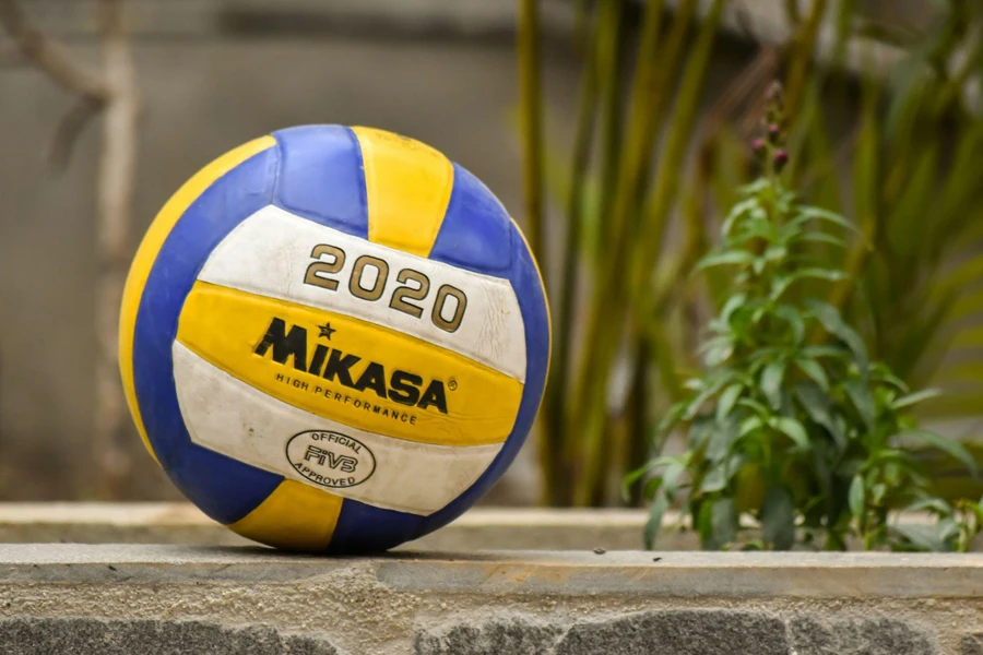 Mikasa High-Performance Pro volleyball