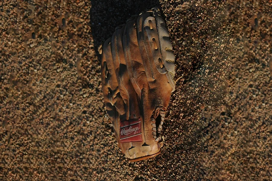 Rawlings Heart of the Hide Series