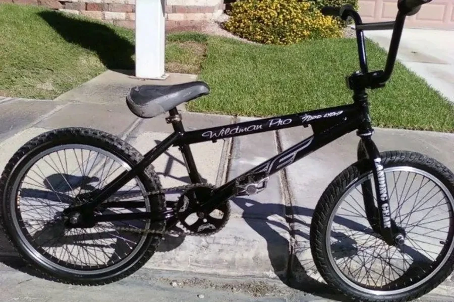 Bicicletas SE Wildman Race BMX 2024