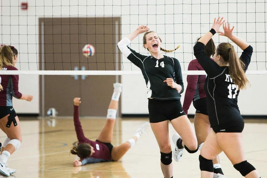 Volleyball game