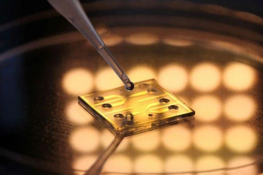 Um biossensor em uma mesa brilhante
