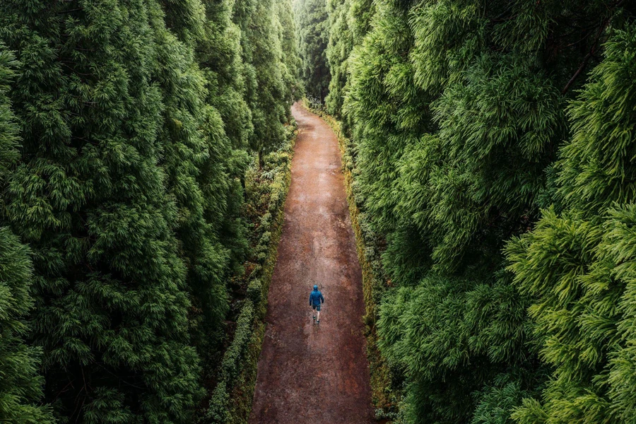um homem caminhando na floresta
