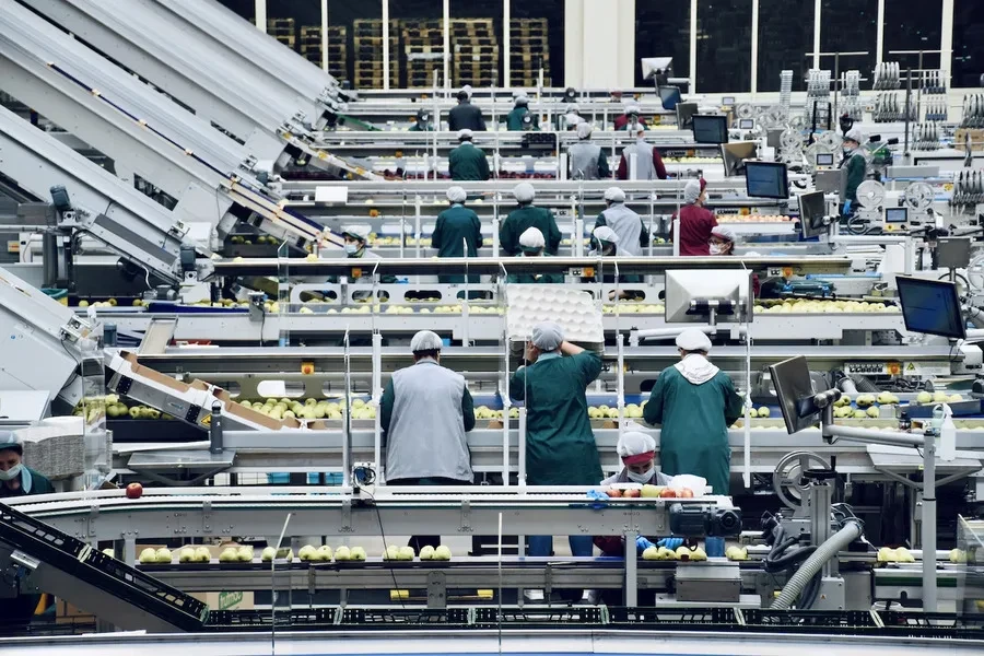 An automated system in use inside an apple processing company