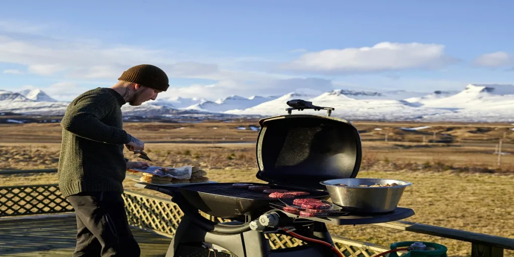 best electric grills for camping in all seasons