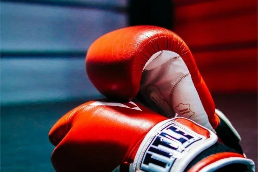 The best boxing gloves in 2024, according to experts